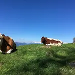 Zirbenduft Fuenf Sinne * Döbriach