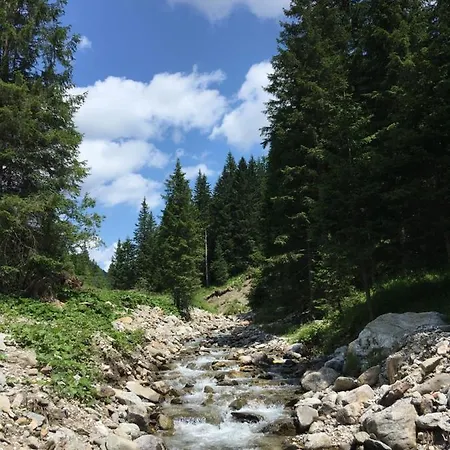 公寓 Zirbenduft Fuenf Sinne 多布里亚赫